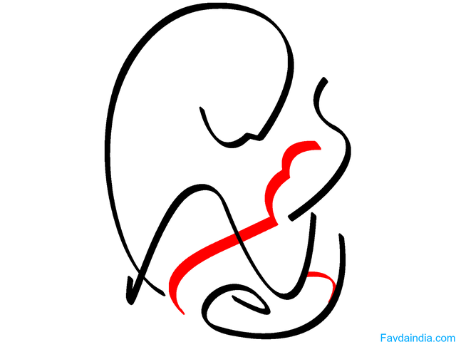 Highest Success Rate Best IVF Treatment in Kakinada, Andhra Pradesh - 3/3