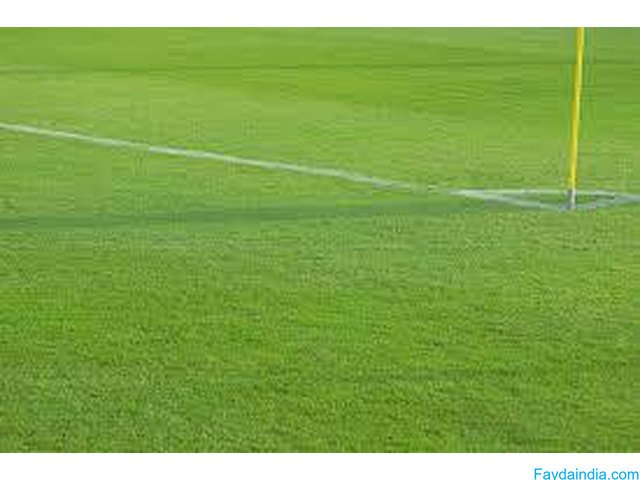 Get Durable Artificial Hockey Turf at Best Price - Order Now