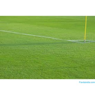 Get Durable Artificial Hockey Turf at Best Price - Order Now