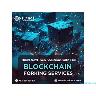 Custom Blockchain Forks for Web3 & Cross-Chain Growth