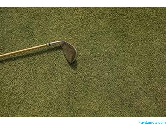 Upgrade Your Green with OSMS Turf