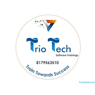 Oracle HCM Online Training | Triotech Software Training