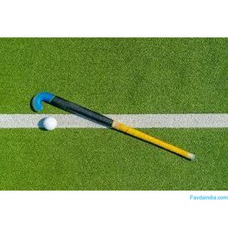 Trusted HockeyTurfManufacturer | Upgrade Your Sports Ground