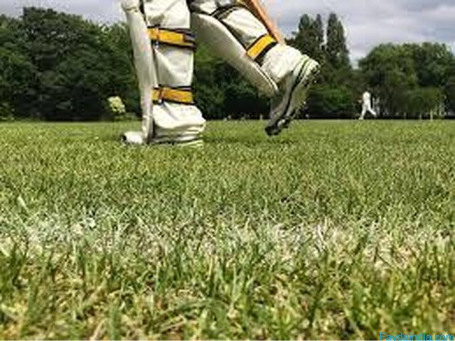 Build Pro-Quality Cricket Fields Today - Choose OSMS Turf