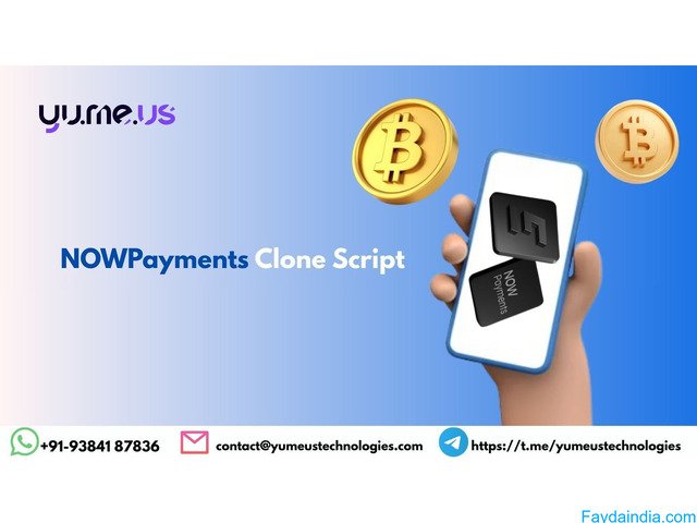 NOWPayments Clone Script For Multi-Crypto Payments!