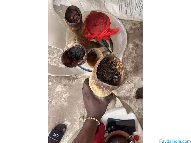 The world Powerful Spiritual Herbalist Native Doctor Juju Man In Nigeria+2347053238713 - 8/8