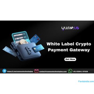 Get Crypto Payments with a White Label Crypto Payment Gateway!