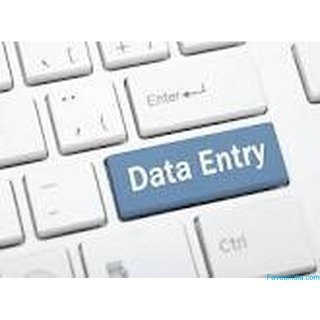 Freelance Data Entry Work Contact Now7708244092
