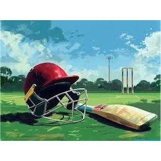 Best Cricket Turf Manufacturer - Contact for Custom Solutions