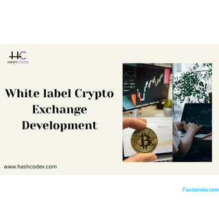 Can You Launch a Crypto Exchange in Weeks? Yes With Hashcodex