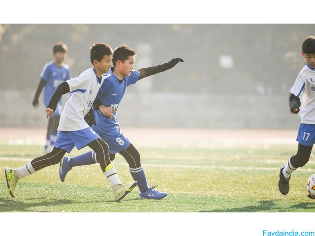 Best Football Turf Manufacturer - Upgrade Your Field Today