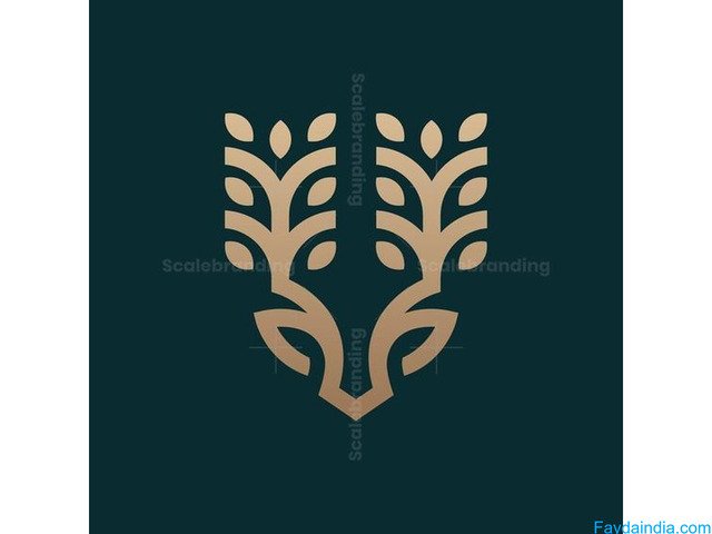 brochure design chennai - 3/4