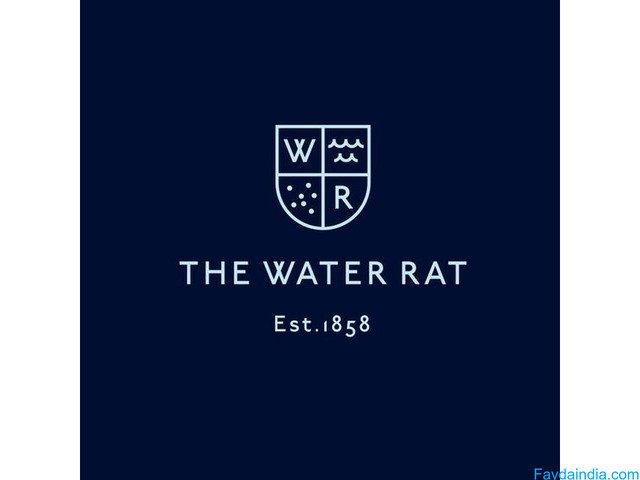 logo designers secunderabad - 3/4