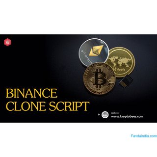 Launch Faster, Trade Smarter with a Binance Clone Script