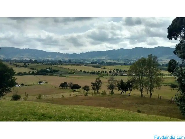 Naugaon Farms: Invest in Prime Gated Farmlands Today - 5/5