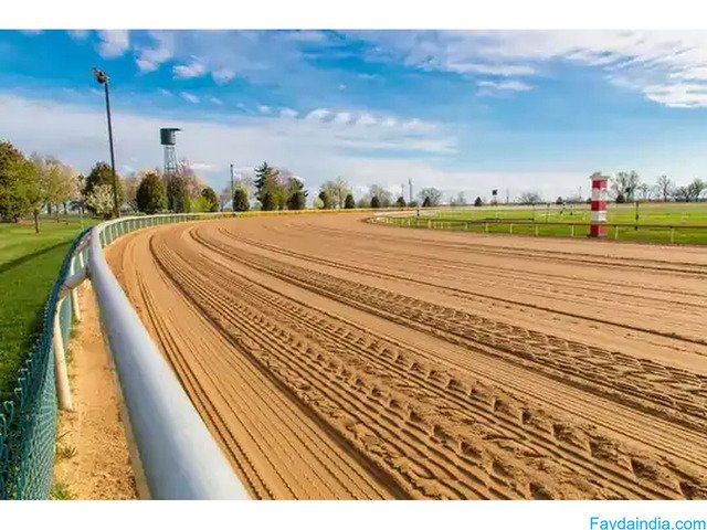 Luxury Farmhouses in Naugaon Near Gurgaon - 6/6