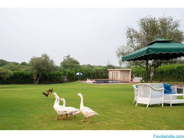 Naugaon Farmhouses Price: Investment Opportunity Near Delhi NCR - 3/6
