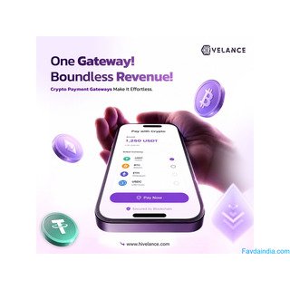 Launch a Multi-Chain Cryptocurrency Payment Gateway Today
