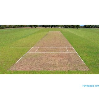 Build a Professional Cricket Pitch with OSMS Turf - Call Now