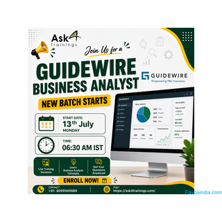 Master Business Analysis in the Insurance Domain