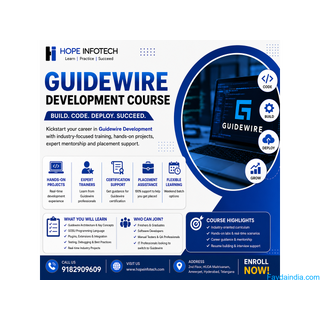 Guidewire Development Course Online