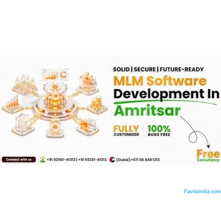 MLM Software Development Company in Amritsar