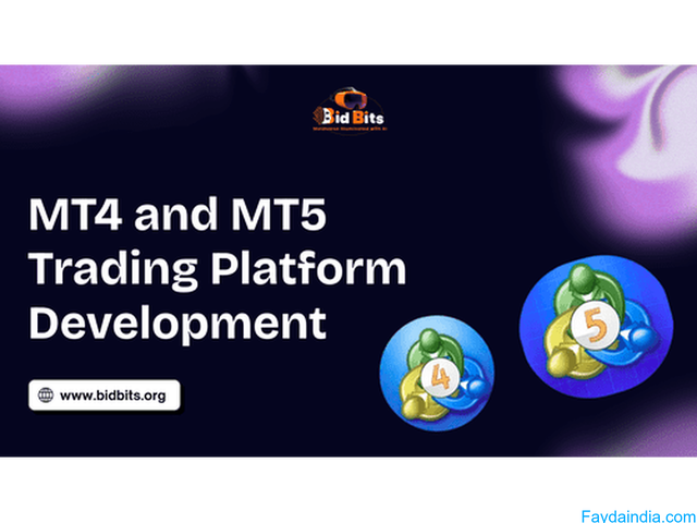 Enable Custom Branding in MT4 and MT5 Trading Platform Development