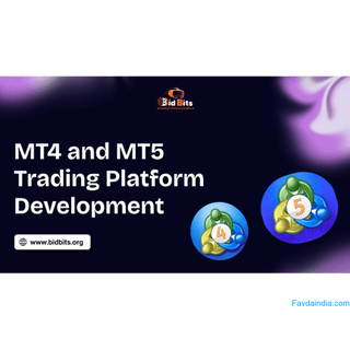 Enable Custom Branding in MT4 and MT5 Trading Platform Development