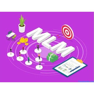 MLM Software Development Company in Punjab – Custom MLM Solutions by Solutions1313