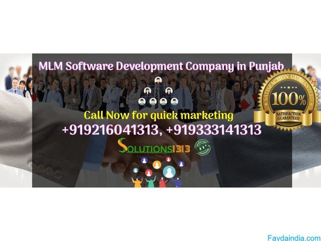 MLM Software Development Company in Punjab – Custom MLM Solutions by Solutions1313 - 5/9
