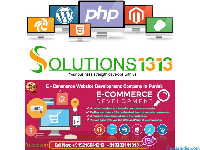 MLM Software Development Company in Punjab – Custom MLM Solutions by Solutions1313 - 9/9