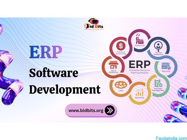 Structure ERP Software Development With Modular Architecture