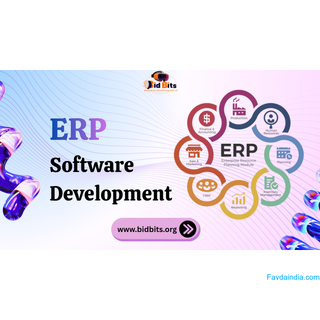 Structure ERP Software Development With Modular Architecture