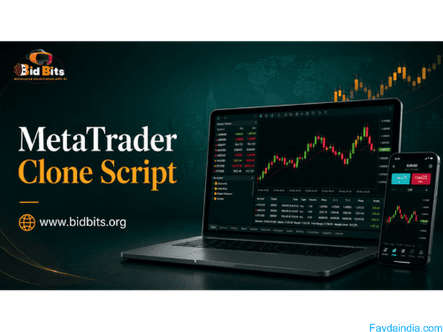 Improve Order Processing with MetaTrader Clone Script