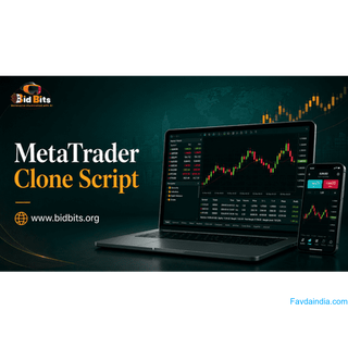 Improve Order Processing with MetaTrader Clone Script