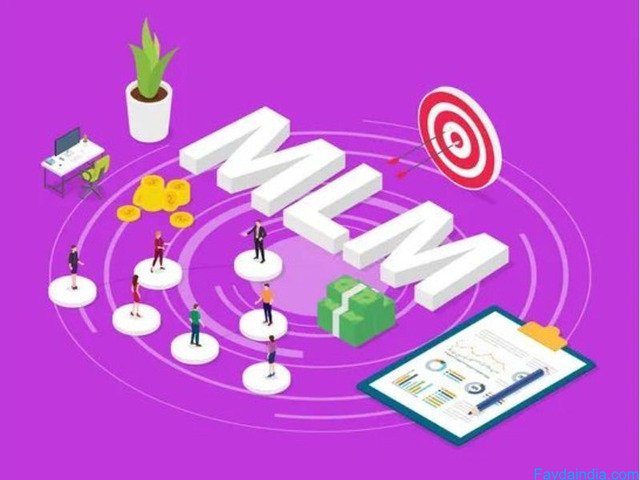 Trusted MLM Software Development Company in Delhi- Solutions1313 - 2/5