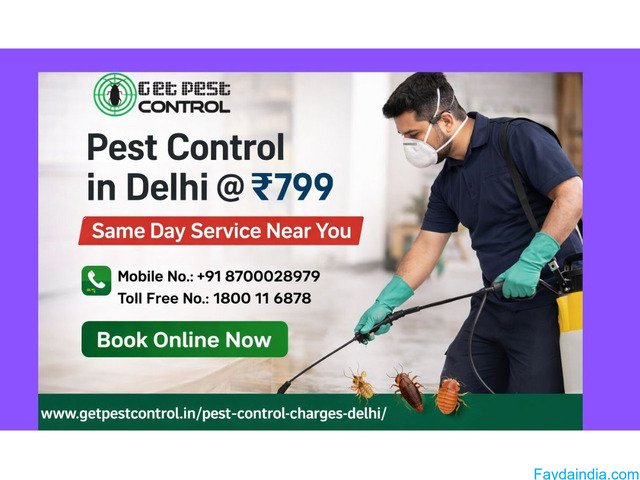 Pest Control Charges in Delhi | Affordable Price List 2026