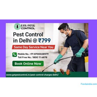 Pest Control Charges in Delhi | Affordable Price List 2026