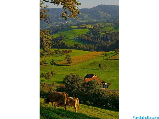 Why Choose a Farmhouse Near Delhi Mumbai Expressway?