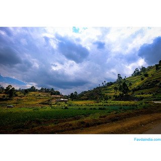 Agricultural Land in Naugaon for Long-Term Planning