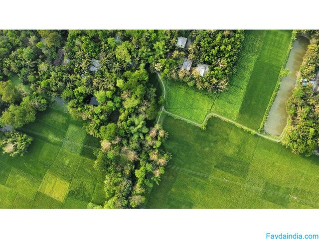 Is Real Estate in Calangute Goa a Good Investment Choice?