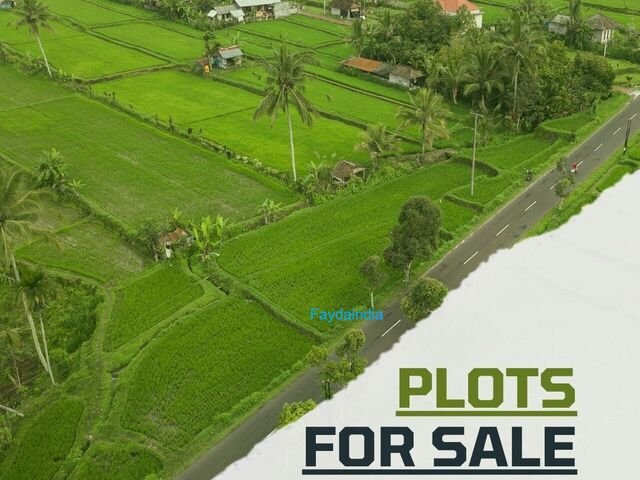 Plots in Goa for Long-Term Investment