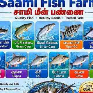 Looking for Quality Fish Farming Solutions in Thanjavur?