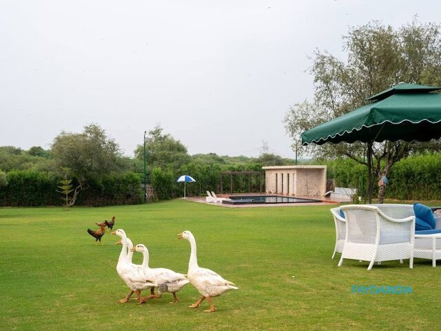 Explore Farmhouses in Naugaon Alwar for Weekend Living - 3/4