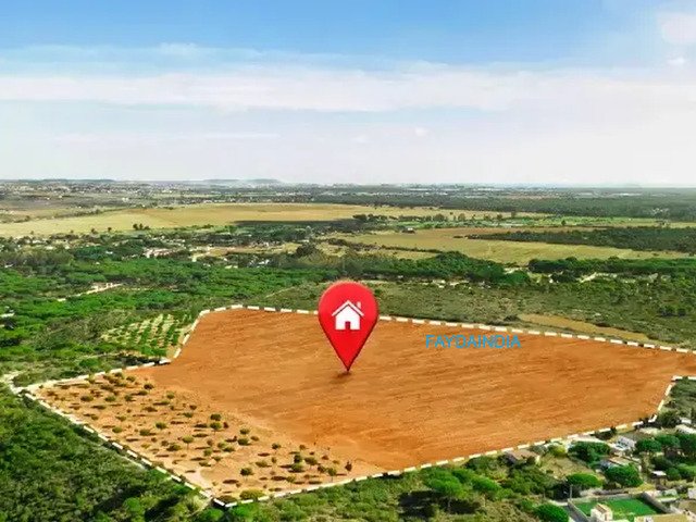 Plots for Sale in Goa for First-Time Property Buyers - 1/3