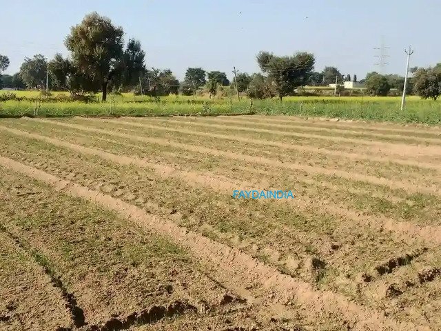 Plots for Sale in Goa for First-Time Property Buyers - 2/3