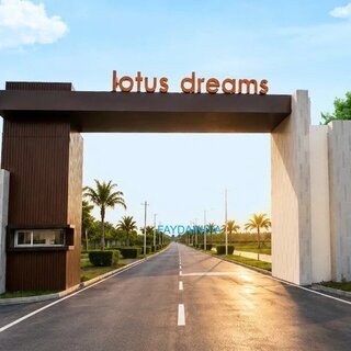 Lotus Dreams