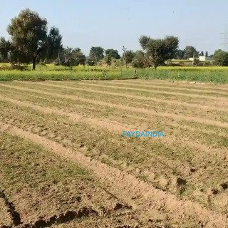 Farmhouses in Naugaon Rajasthan for Land Buyers