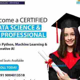 Boston Institute of Analytics