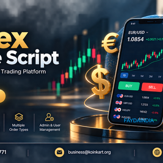 Why Build from Scratch? Choose a Forex Clone Script